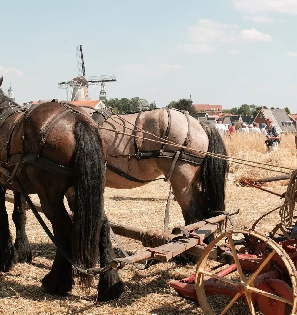 Nostalgische Oogstdag Ootmarsum