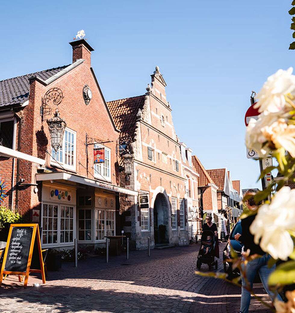 Activiteiten juni Template Nieuwsbericht