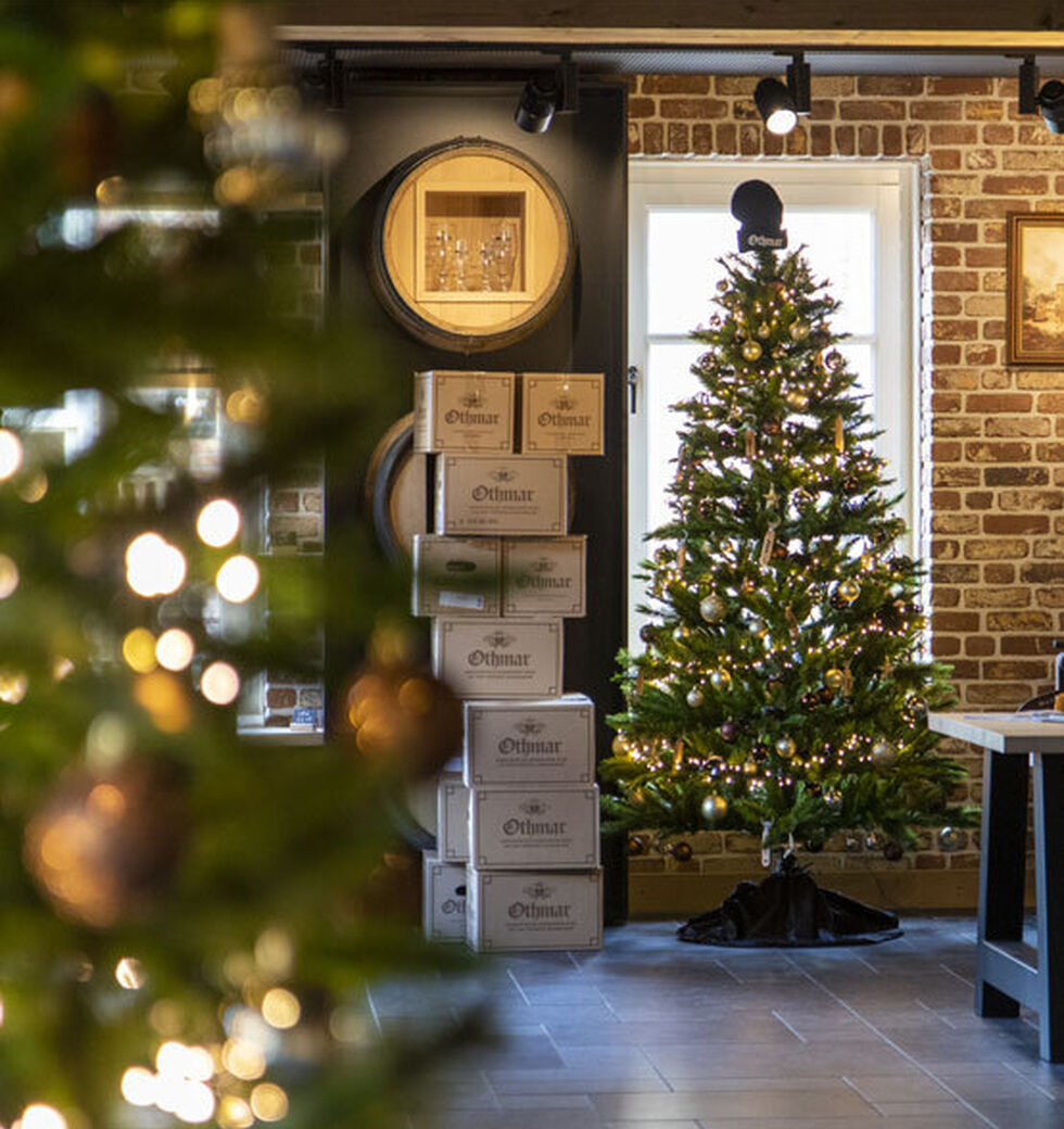 Kerst Template Nieuwsbericht