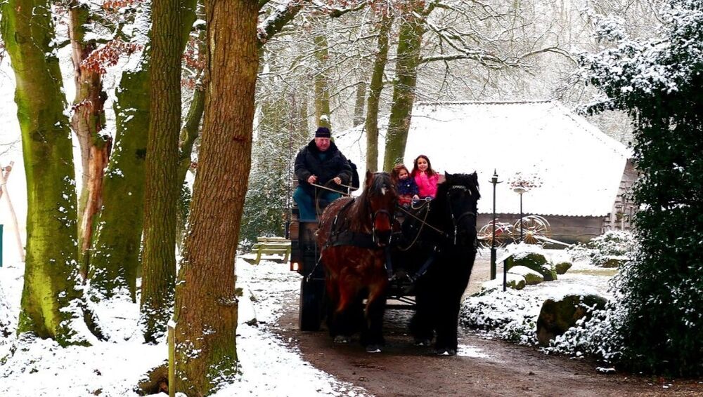 Paardenwagenwinter