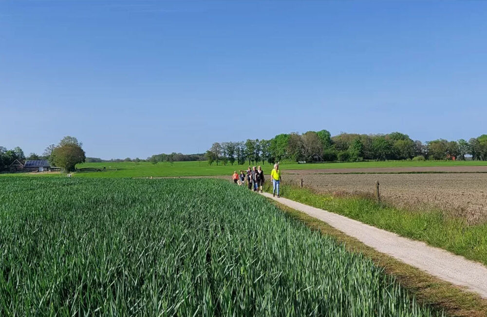 Avondwandelvierdaagse Image Slider